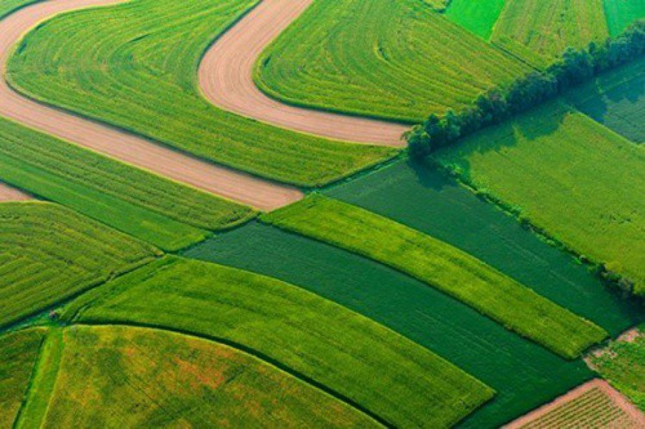Всеукраїнський фермерський форум (онлайн) Актуальні напрями державної підтримки агросектору
