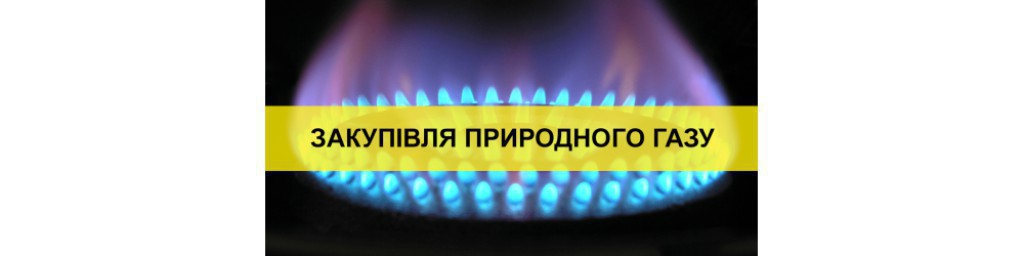 Обгрунтування технічних та якісних характеристик предмета закупівлі Природний газ 
