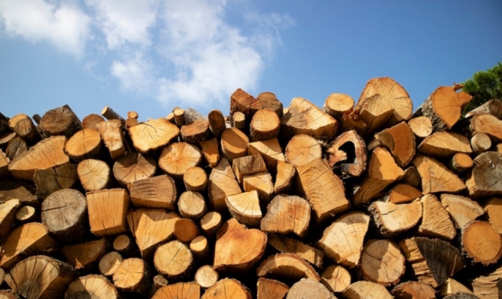 Оголошення тендеру на закупівлю дров на 2023 рік